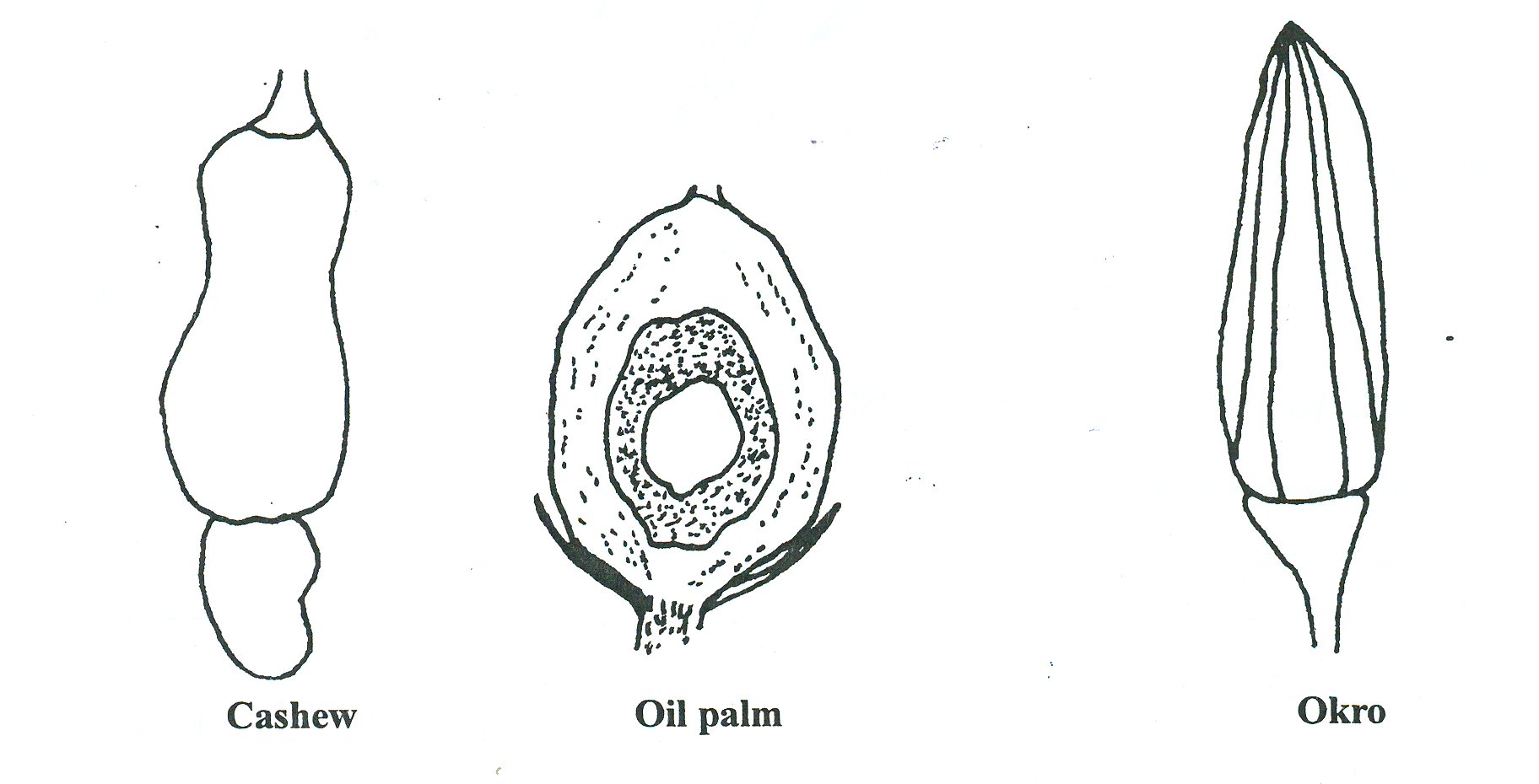 Sub-part image